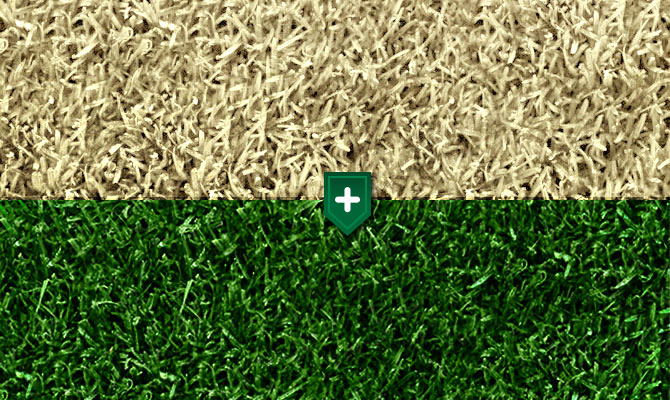 Paint For Lawn
